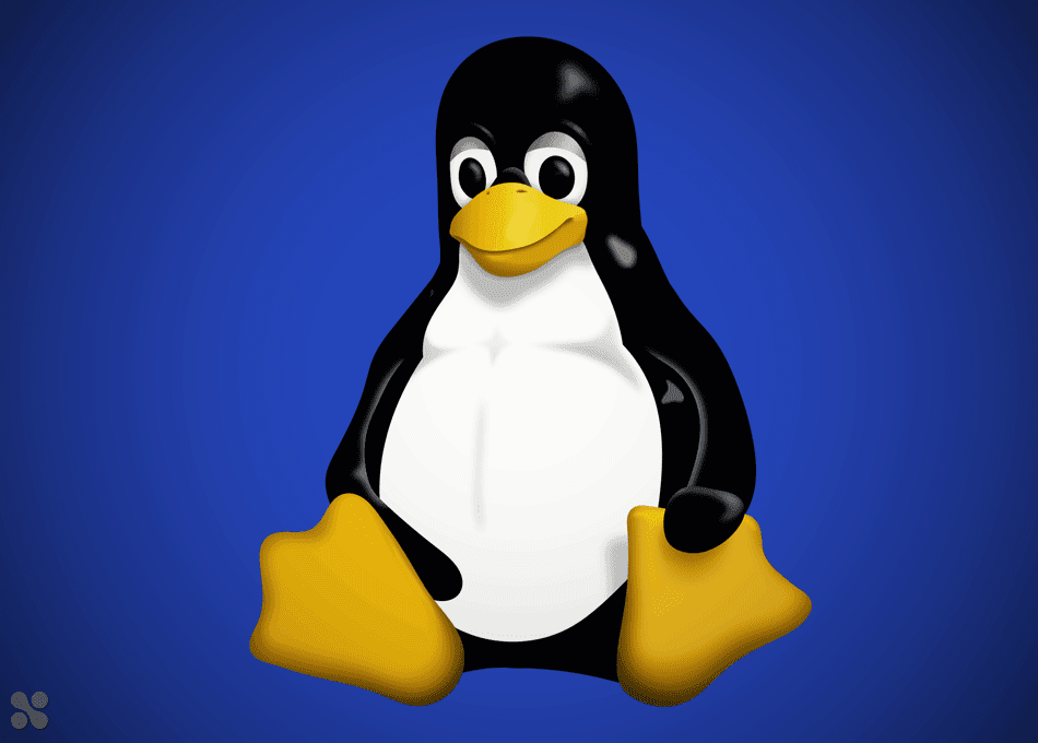 What is Linux? & Top Popular OS Linux for Servers 2 What is Linux