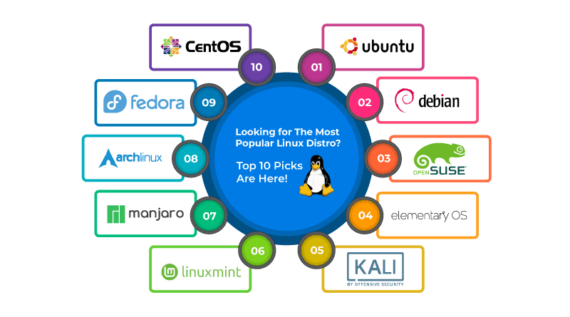 What is Linux? & Top Popular OS Linux for Servers 4 Top Popular Linux Distributions for Servers