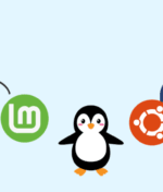 What is Linux? & Top Popular OS Linux for Servers